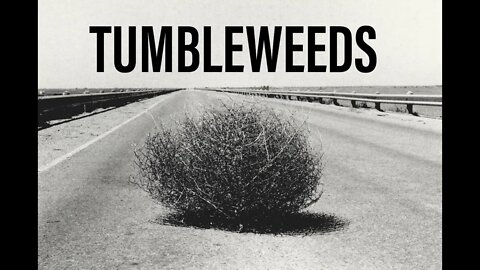 Tumbleweeds