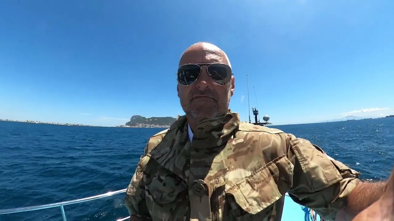 Dolphin Watching last Summer. 02