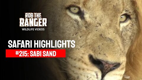 Safari Highlights #215: 02 - 05 July 2013 | Sabi Sand Nature Reserve | Latest Wildlife Sightings