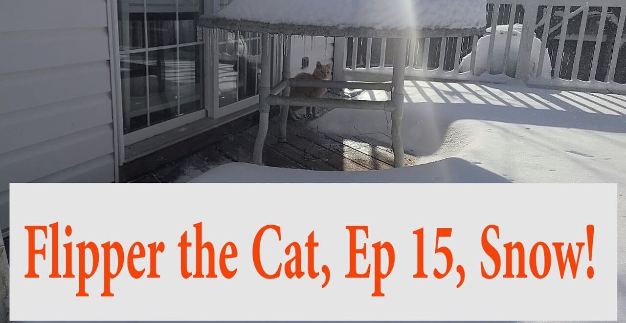 Flipper the Cat, Ep 15, Snow!