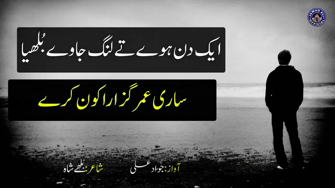 Nahi Langda Waqt - Bulleh Shah Punjabi Poetry Whatsapp Status - Shero Shayari - Jawad Ali Official