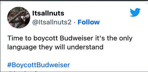 Budlight is GOING BROKE after losing nearly $7BILLION in 6 days!!!!!!