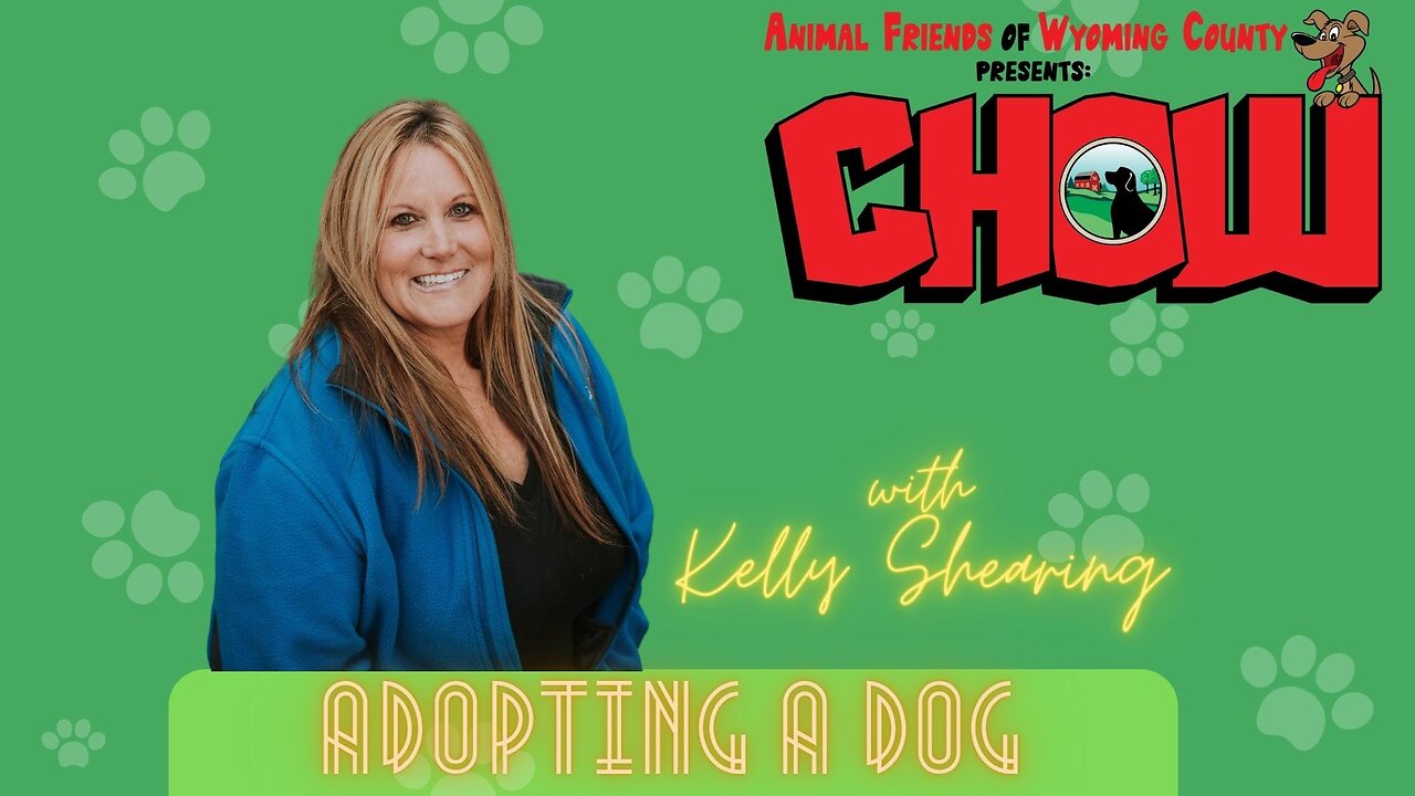 Adopting a Dog