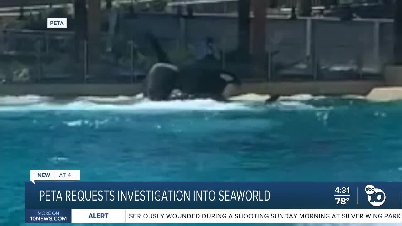 PETA requests investigation into SeaWorld