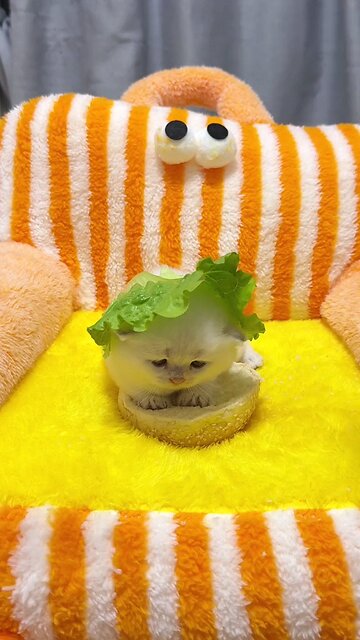 a cat burger | a cat cun in a bun | awesome blossom bun burger on this Christmas