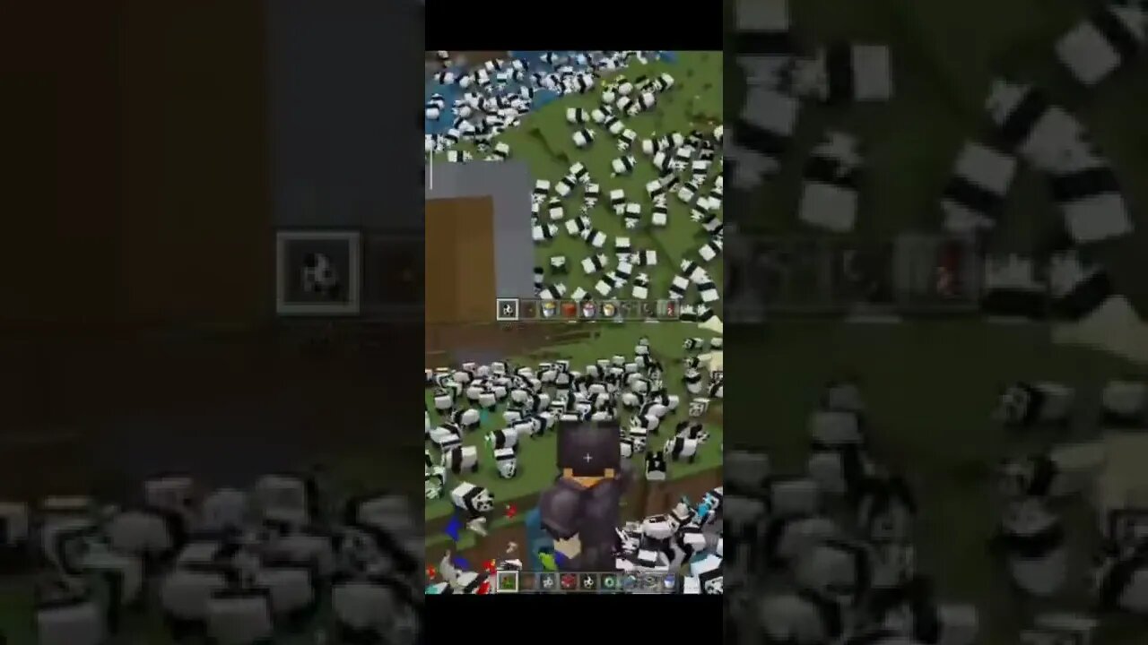 Minecraft. Consegui selar a paz entre o Totoy e os Pandás 🐼❤️ #shorts #minecraft