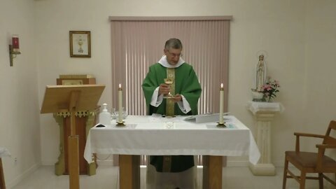 July 24 - Sunday Mass