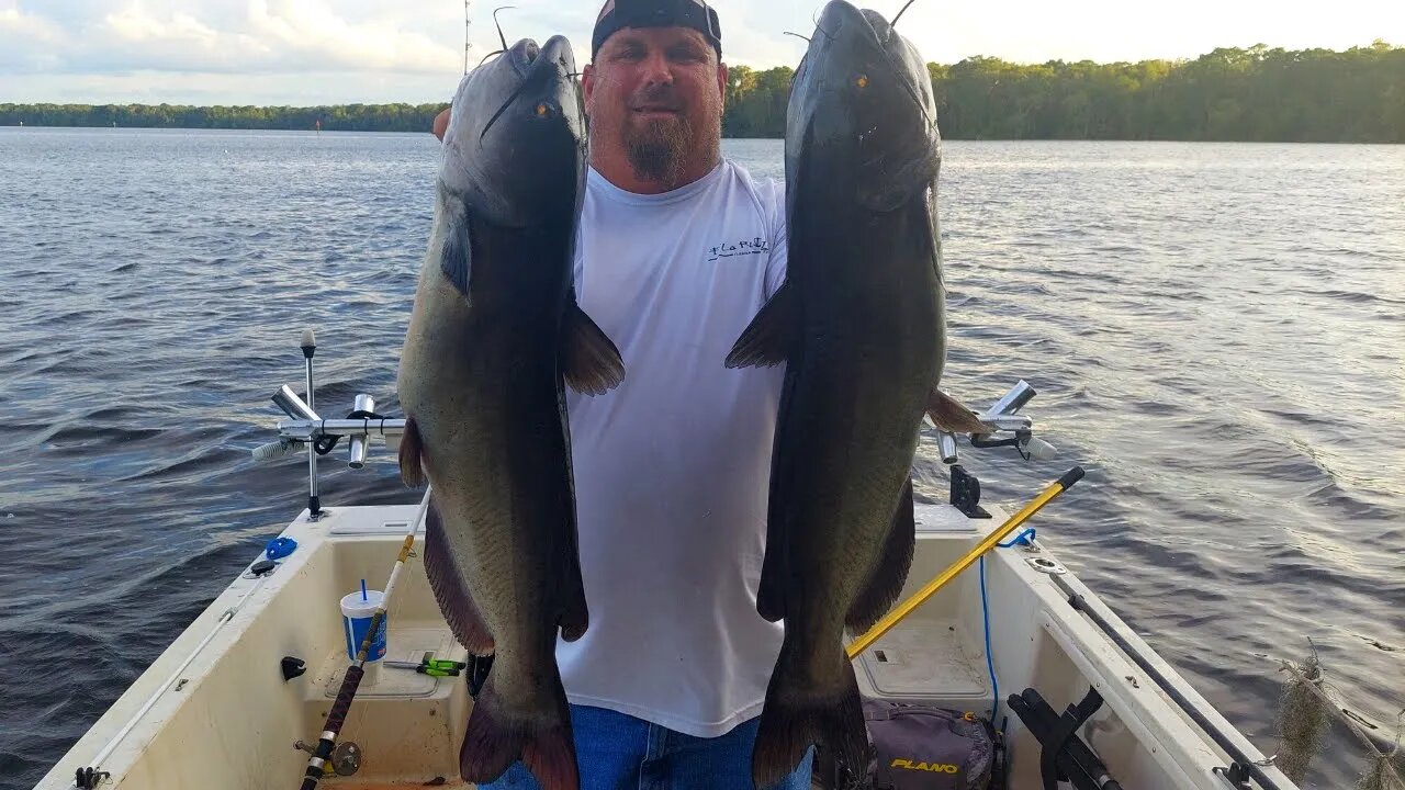 The Hunt for BIG St Johns River CATFISH