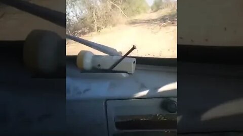 The AFU armored vehicles destroyed in the Kherson direction