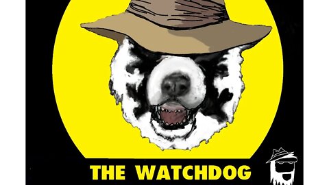 THE WATCHDOG 05/17/2022: Review of the 2022 primaries