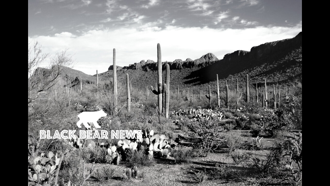 Apocalypse Papers-Celebrate The War On Nature-Virus Sized Transistors