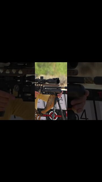 Extreme Field Target #airgun #pcpairgun #airrifleshooting #airrifles #airgunning #pcpairrifle