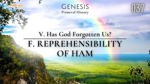 Reprehensibility of Ham | Genesis 9:18-29