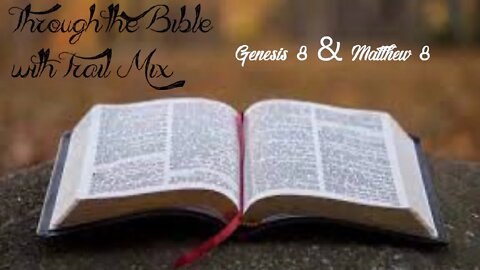 Through the Bible #8
