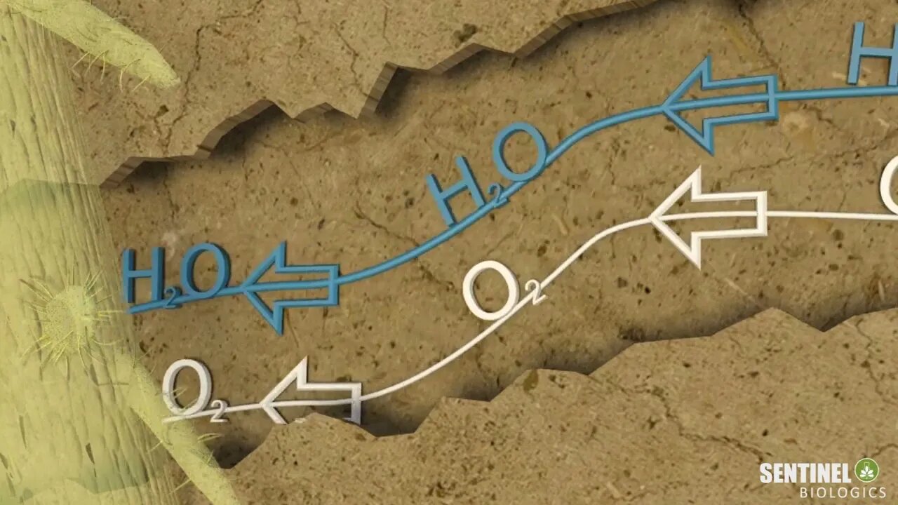 Beneficial Microbes - by epic software group - test