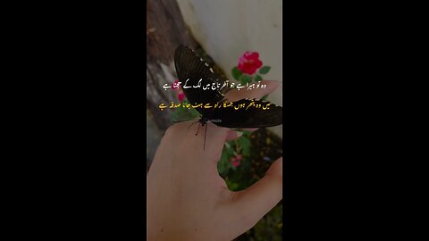 Heart touching poetry