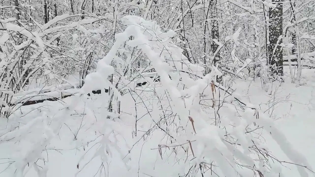 przytul dzisiaj - co masz przytulić jutro :):)