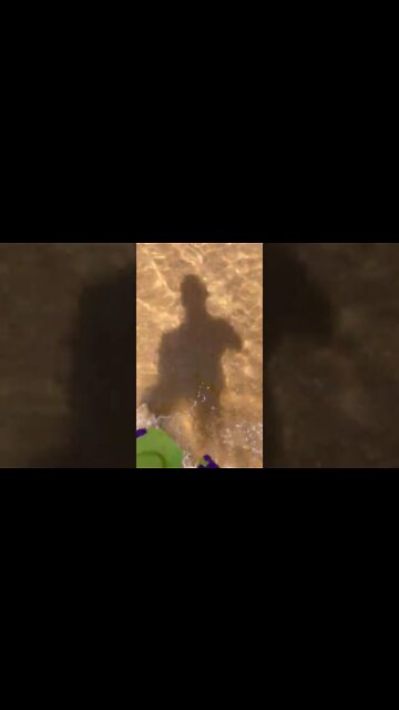 Patrick Star Swim Shorts from Zaful Walking Through The Beach