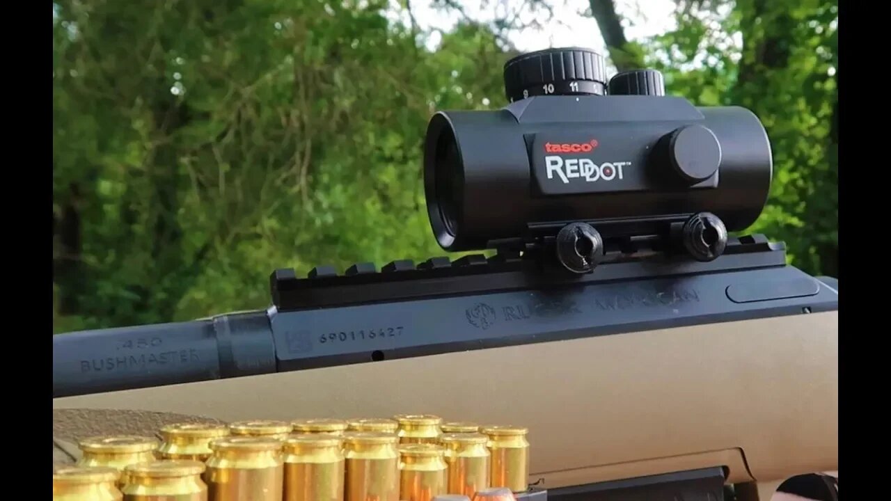 BEST BUDGET RED DOT - mounting on .450 Bushmaster