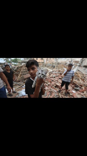 Israel comete Genocidio con los niños y civiles en Gaza