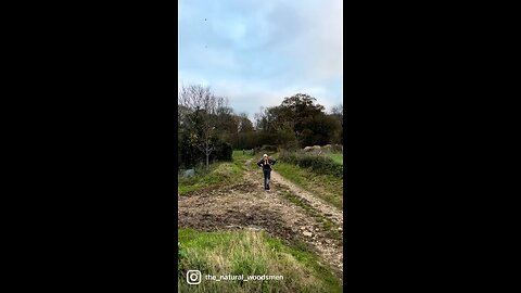 Day trip in the Surrey hills