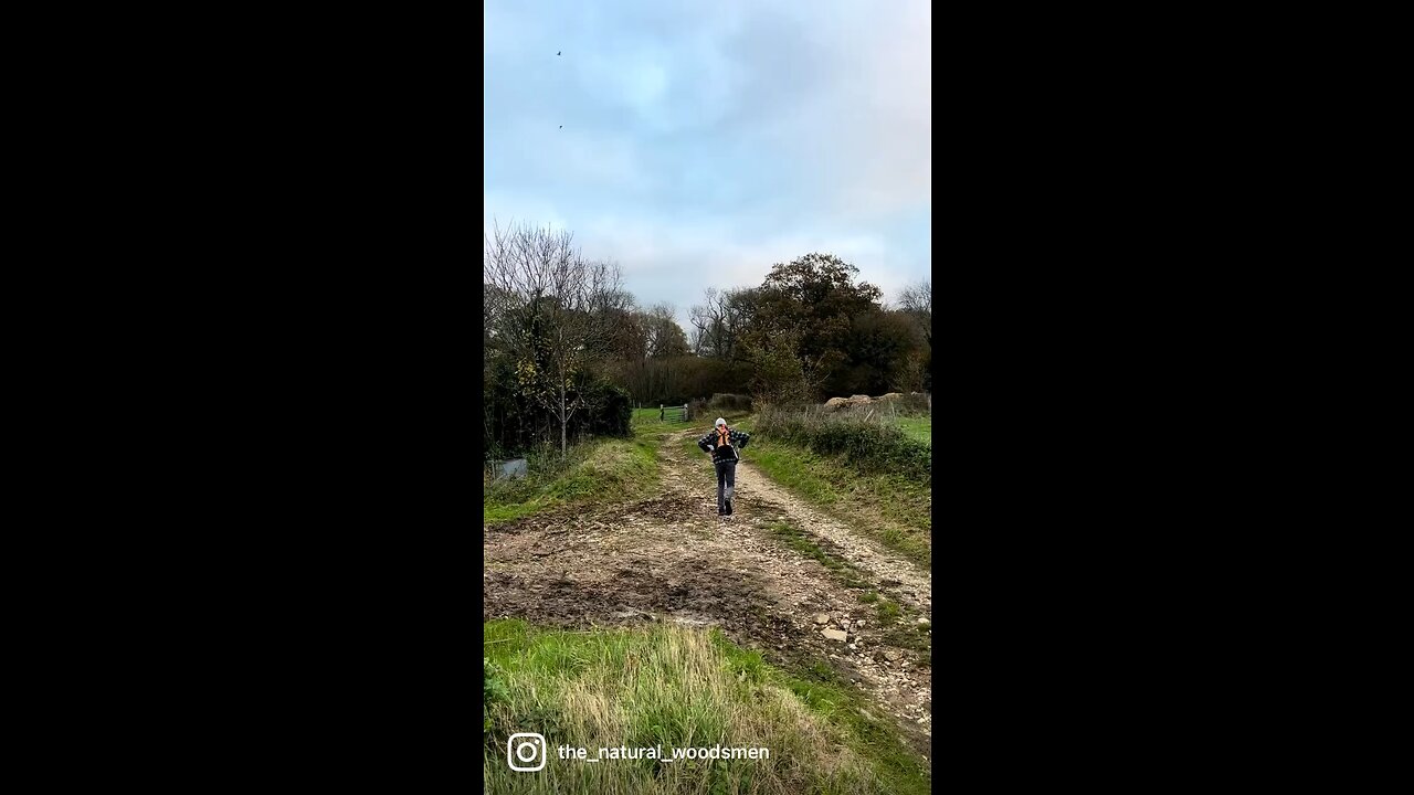 Day trip in the Surrey hills