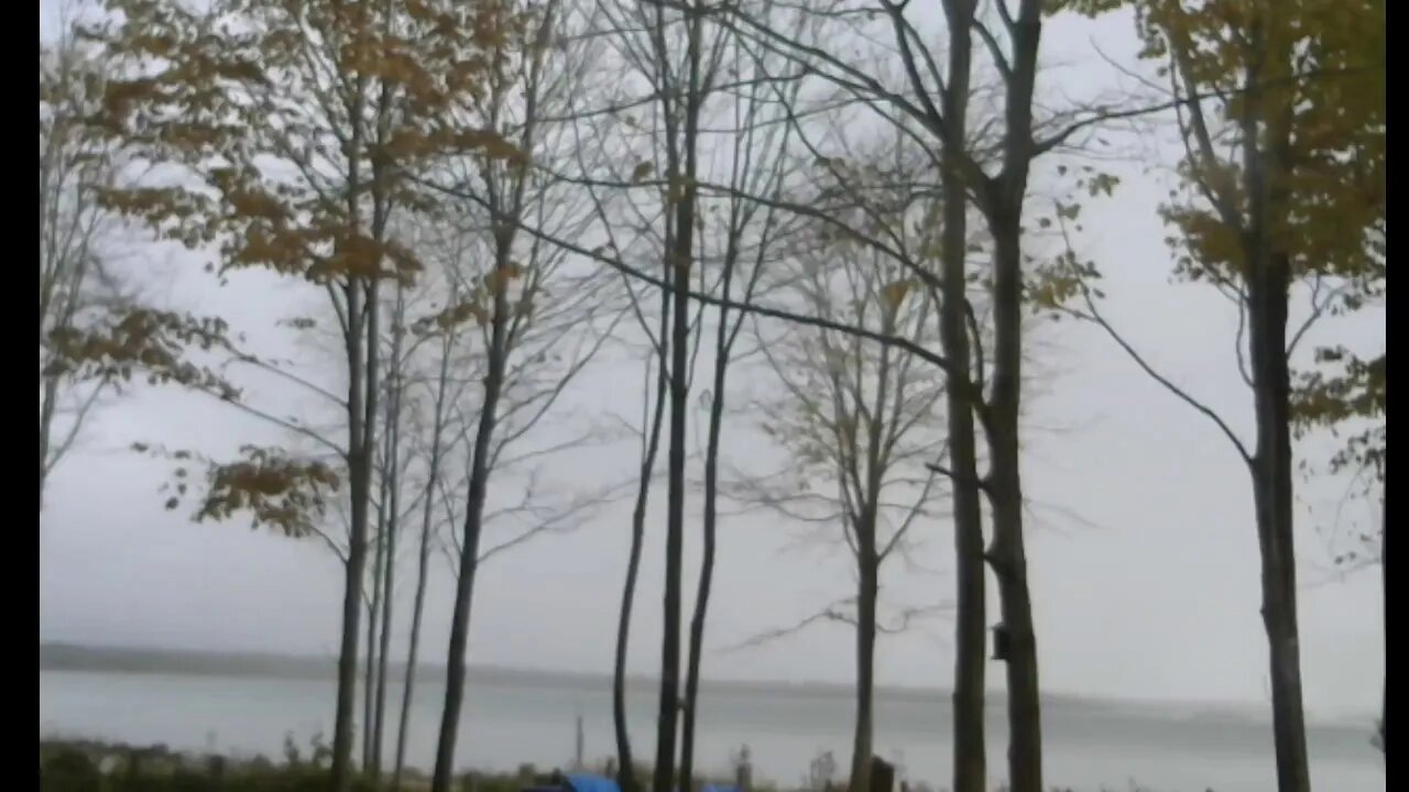 Invaders Leaving The U.P.