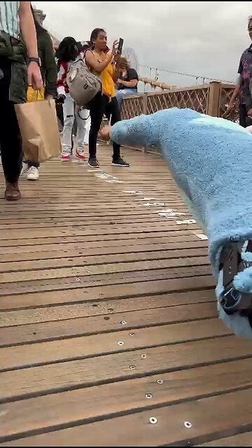 BTS: Behind The Scenes🎥