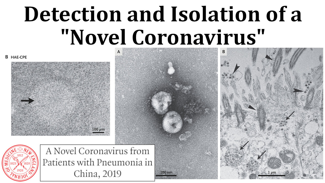 COVID-19 Paper Results: Detection and Isolation of a "New Virus"