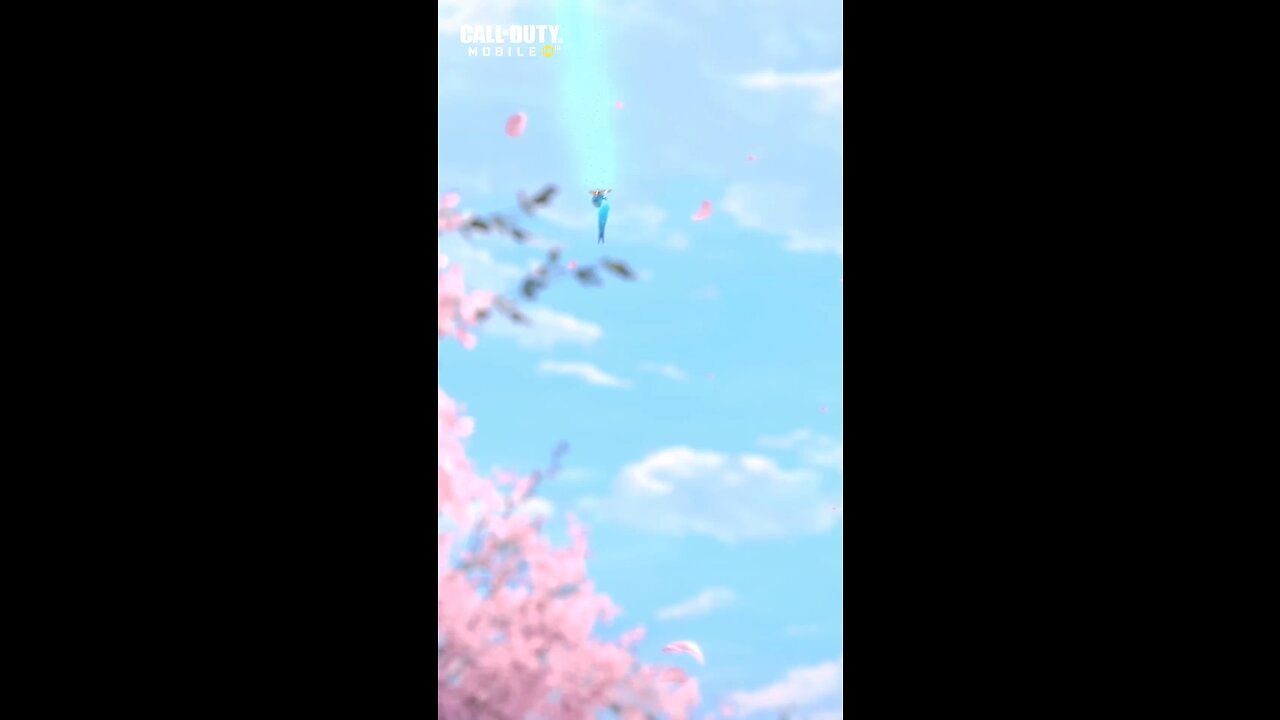 Call of duty mobile