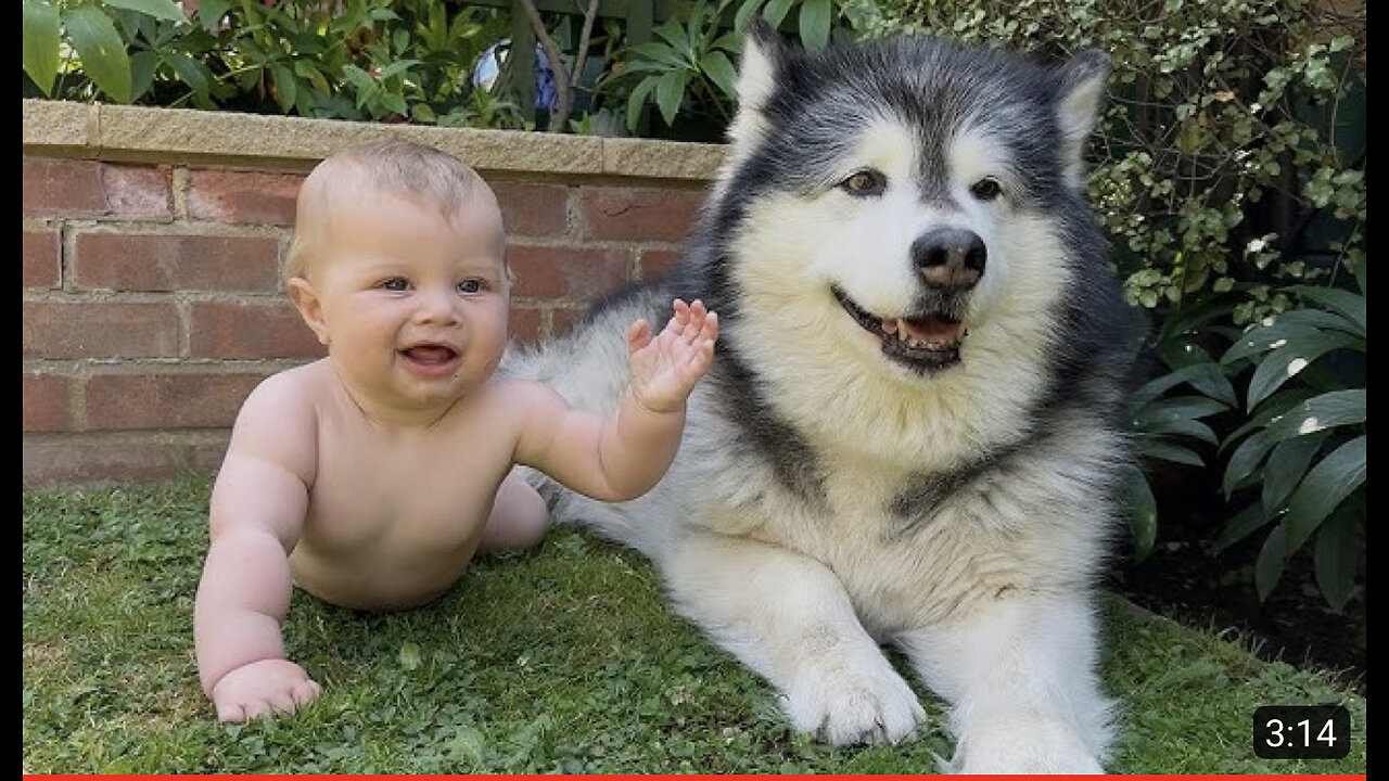 Adorable Baby Boy Crawls For The First Time! (Cutest Ever!!)