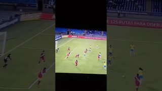 videos shorts do kawai#shorts