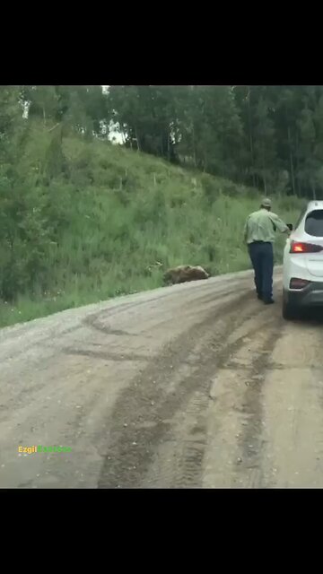 Is that a bear💀⁉️