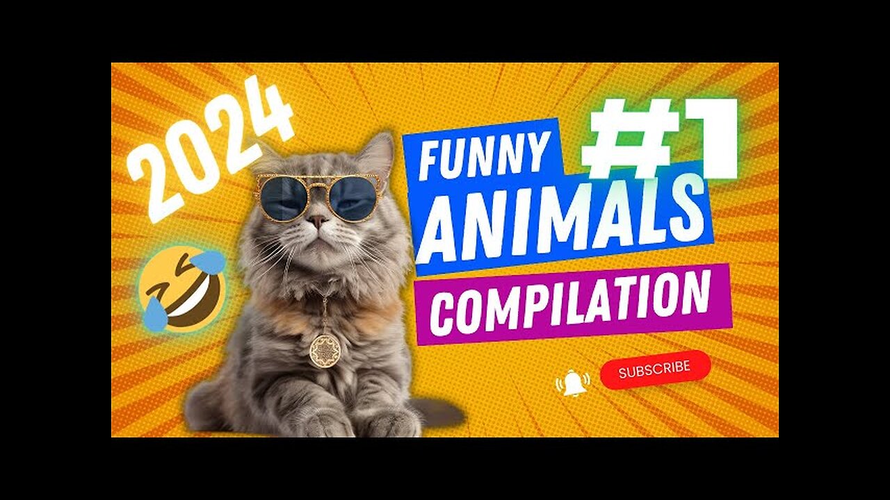 most funny animals reaction capture by camera funny video of animals 2024😂😂