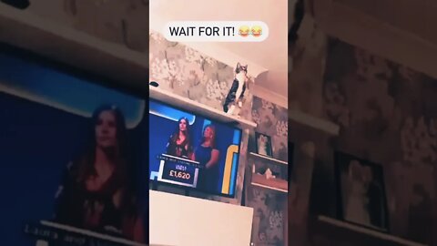 A jump from a wall to a fan