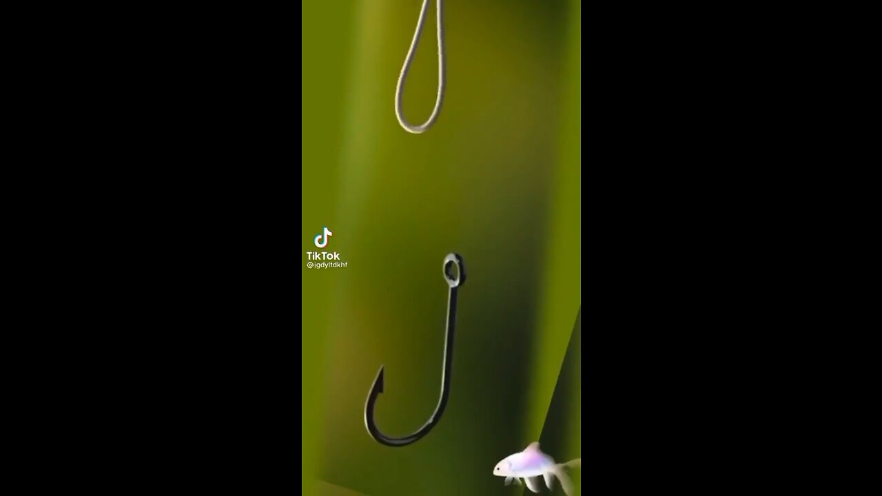 Fishing Knot