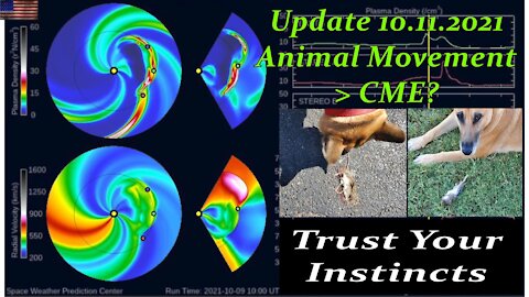 10.11.21 Update Animal Movement-CME?