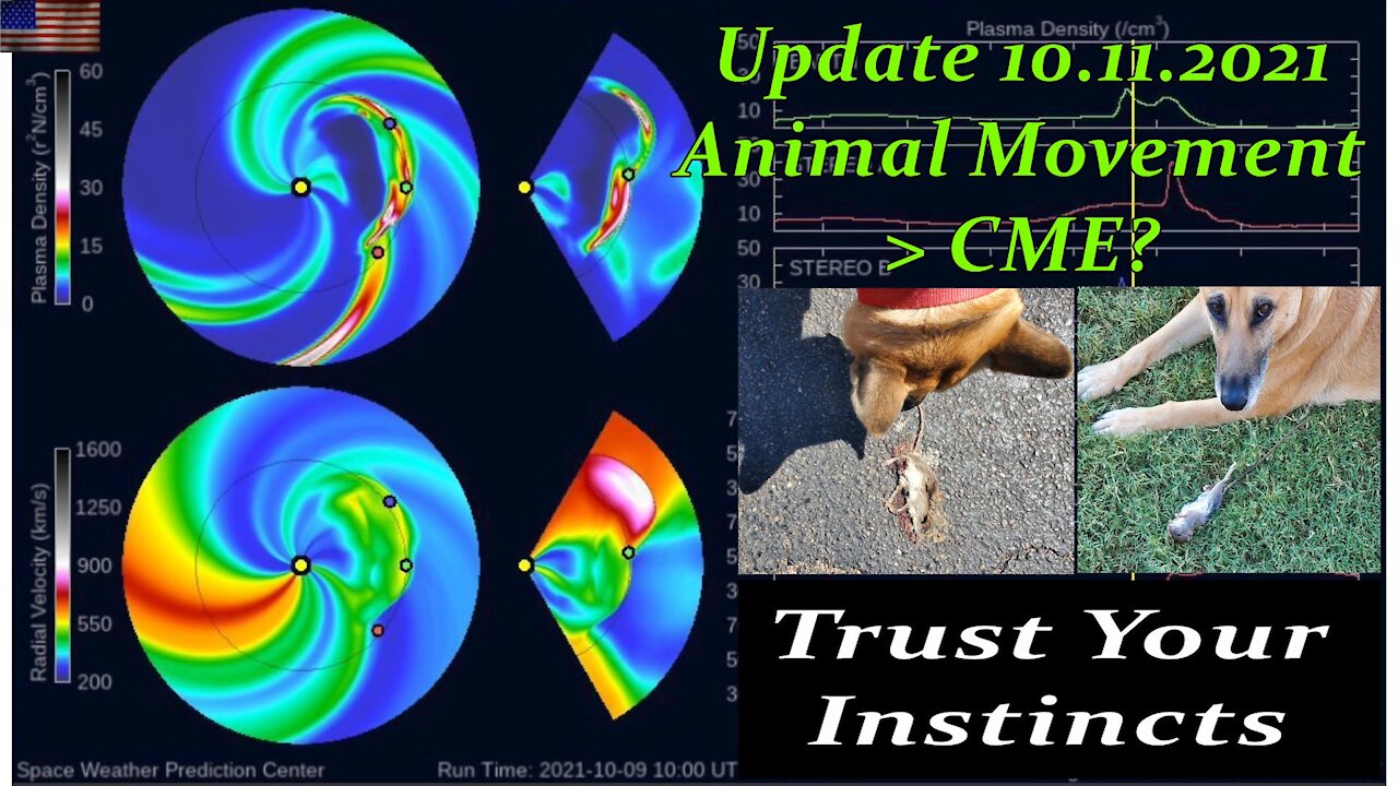 10.11.21 Update Animal Movement-CME?