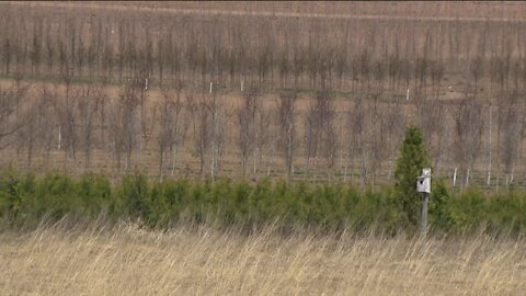 Unusual temps, winds delay spring burns at wildlife preserve in Mequon