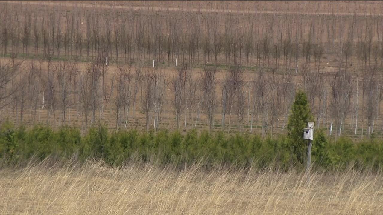 Unusual temps, winds delay spring burns at wildlife preserve in Mequon