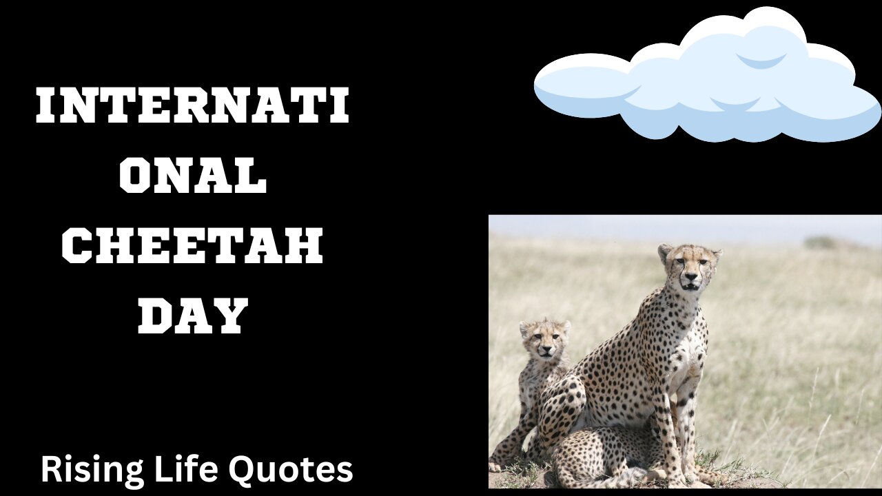 INTERNATIONAL CHEETAH DAY