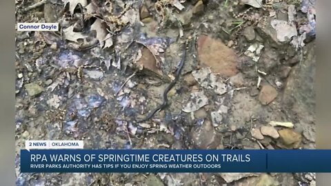 Snakes slithering on trails have hikers on alert