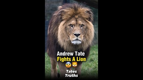 Lion Attacks Tate At Billionaires Zoo In Dubai 😨🦁