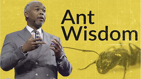 Ant Wisdom -- Bishop Dale C. Bronner