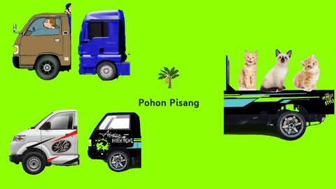 Tebak Gambar Kepala Mobil Bak Truck Yang Membawa Kucing