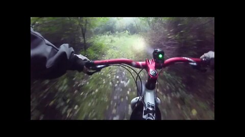 Exploring Local Trails ( FRAMED MINNESOTA 2.2 )