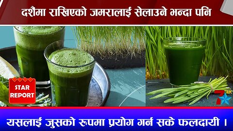 दशैंमा राखिएको जमरालाई सेलाउने भन्दा पनि यसलाई जुसको रुपमा प्रयोग गर्न सके फलदायी ।