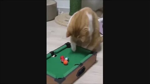 What a amazing pool player!