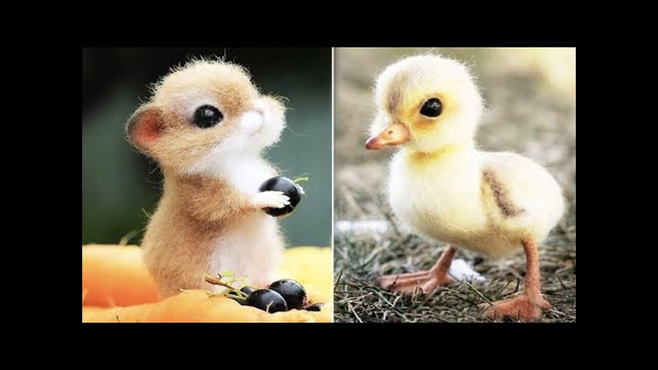 Cute Baby Animals Videos Compilation | Funny and Cute Moment of the Animals #3 - Cutest Animals 2023