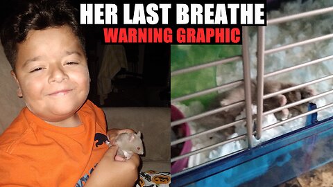 Our Hamster DIED in 10 DAYS! (WARNING-GRAPHIC)